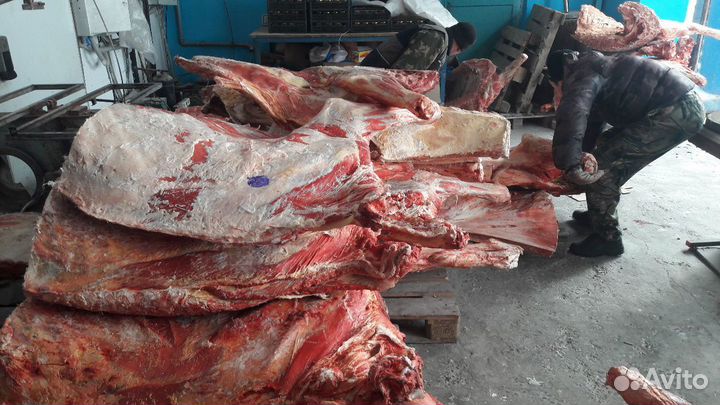 Мясо говяжье-быки молодняк заморозка
