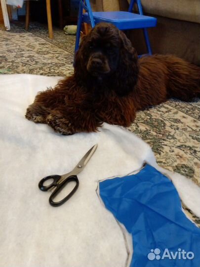 Зимний комбинезон на синтепоне