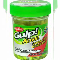 Berkley gulp minnow 1 inch