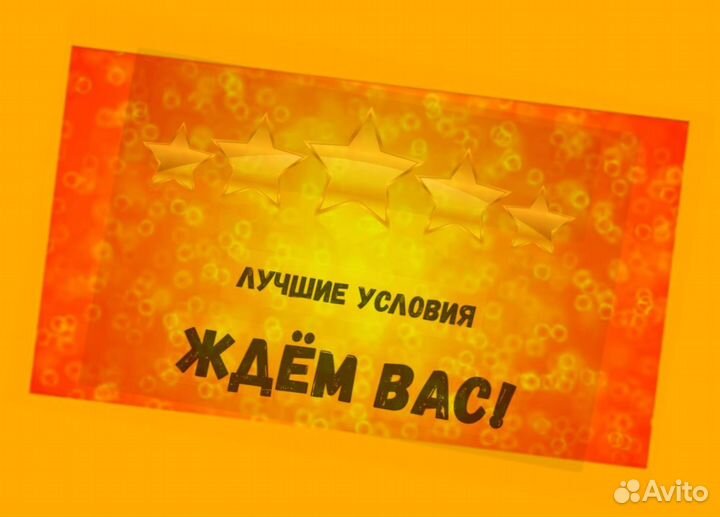 Сортировщик Еженедельный аванс Спецодежда М/Ж