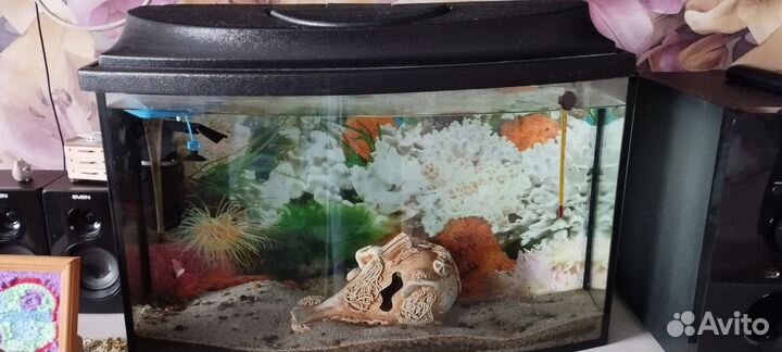Аквариум