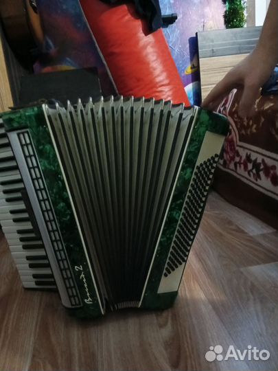 Аккордеон 