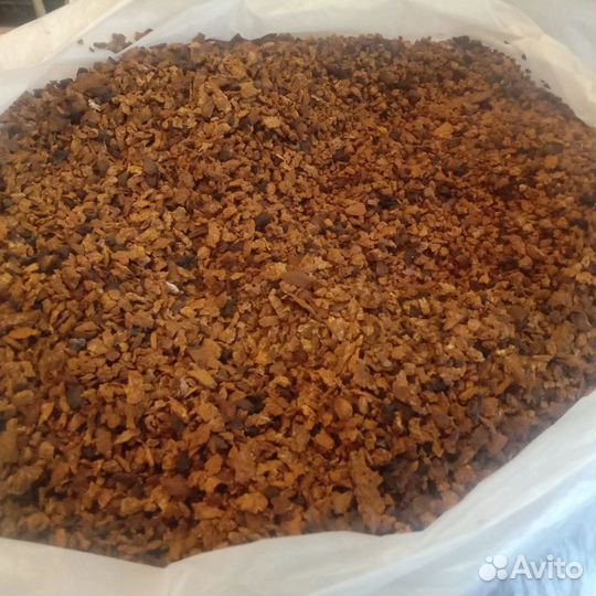 Трутовик скошенный