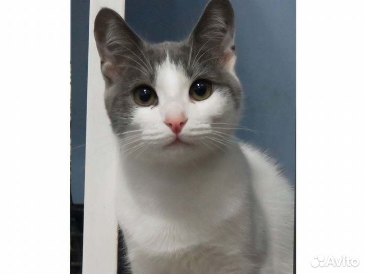 Аркаша ищет семью