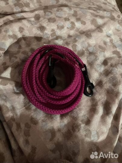 Амуниция для собак,фризби/фрисби для собак