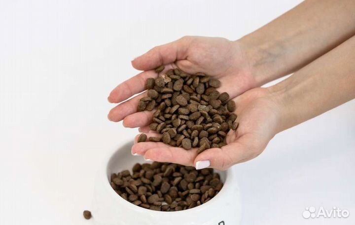 Корм для собак оригиналшеф