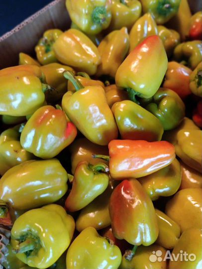 Капуста, перец, тыква, овощи