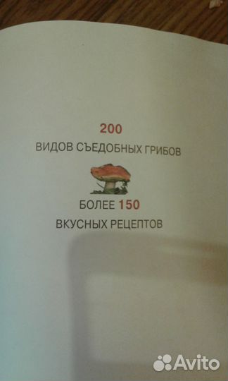 Энциклопедия