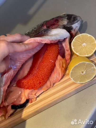 Свежая рыба форель