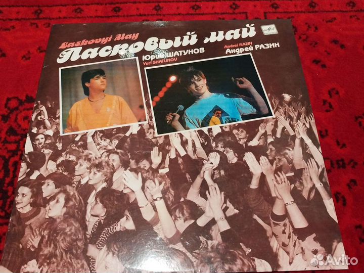 Винил. Наташа Королёва, Ласковый май