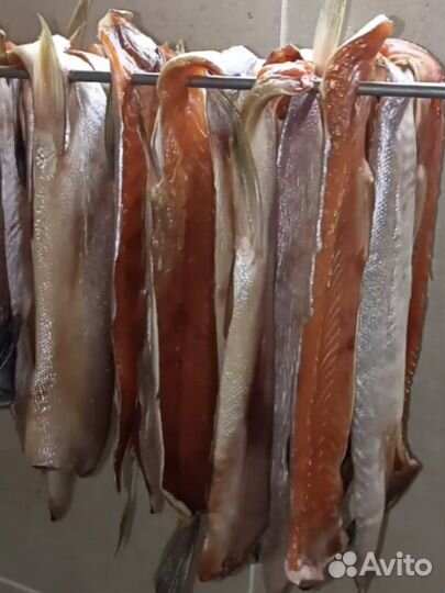 Морская копченая и вяленая рыба