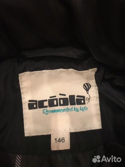 Куртка Акула