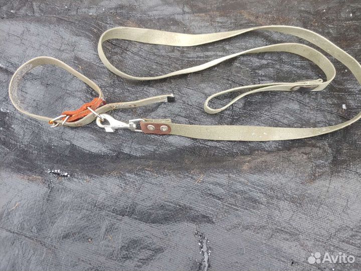 Ошейник с поводком