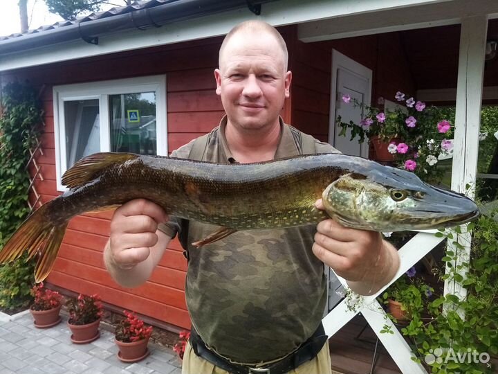 Рыбалка, прогулка на катере с гидом