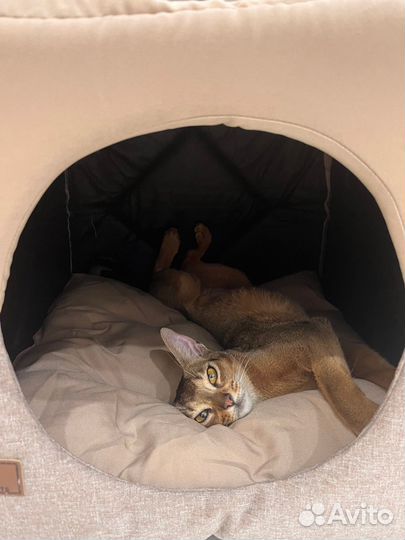 Домик трансформер для животных