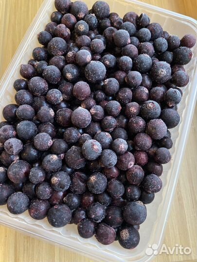 Черная смородина ягода