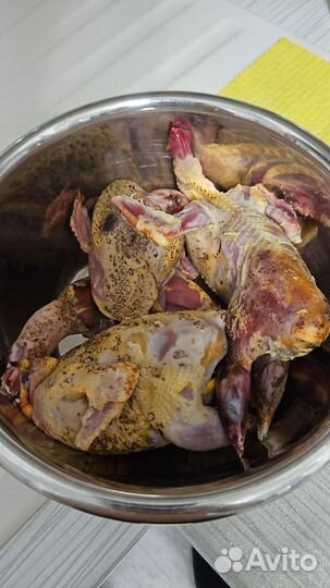 Мясо дикой птицы. Утка, куропатка, гусь