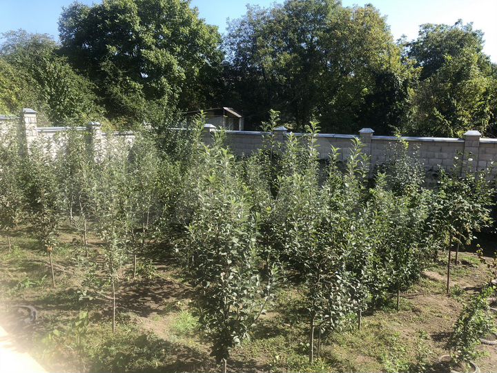 Дом 81 м² на участке 7,3 сот.