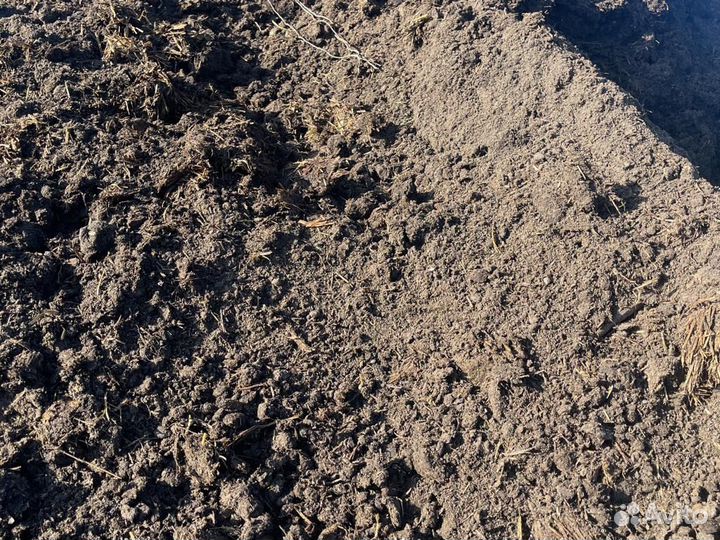 Навоз перегной с фермы