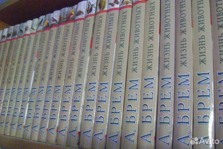 Продаю книги