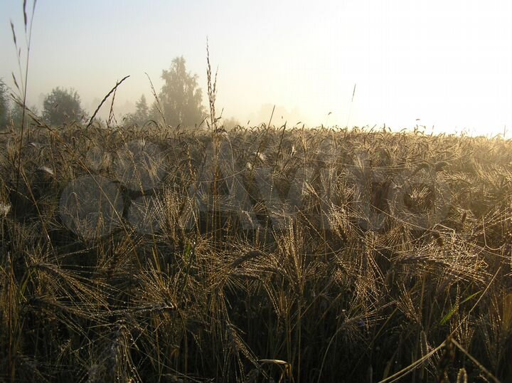 Дача 60 м² на участке 25 сот.