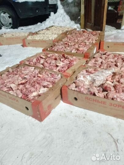 Лапки голва для собаки кошки