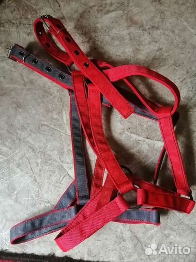 Уздечки, недоуздки, вожжи, ошейники