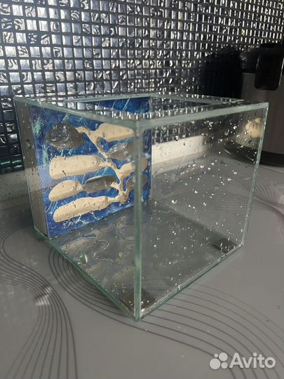 Формикарий большой