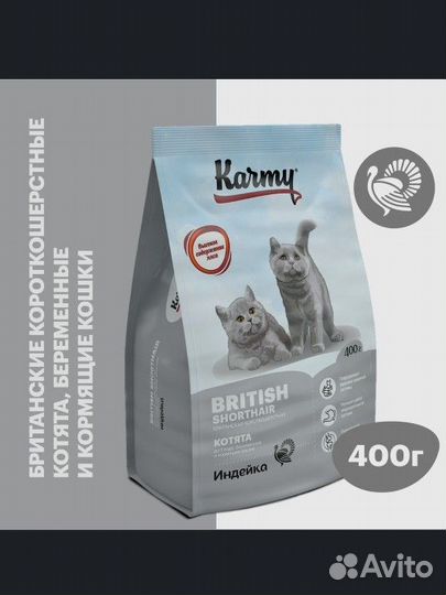 Сухой корм для беременных кошек и котят