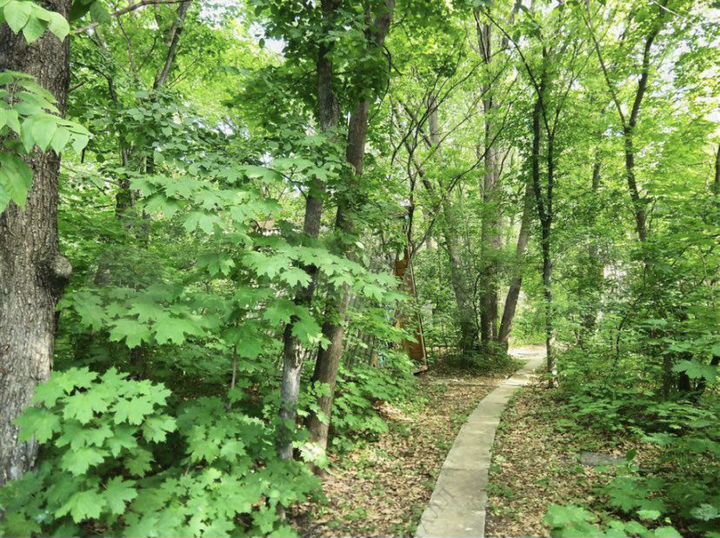 Участок 77 сот. (ИЖС)