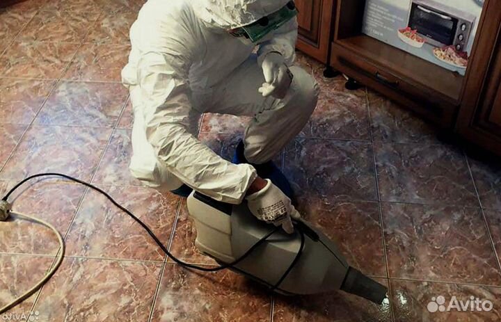 Клопов тараканов клещей комаров борщевика плесени