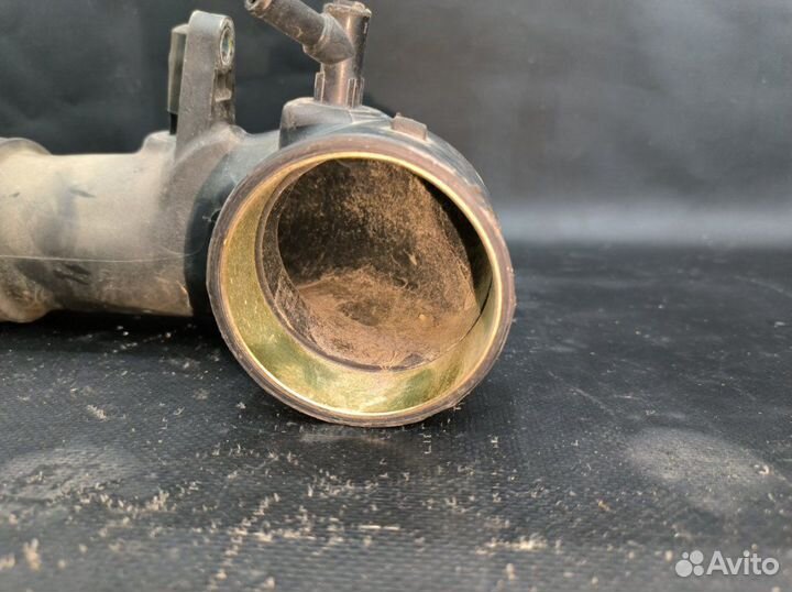 Самка Subaru Forester SG5 EJ205 2005