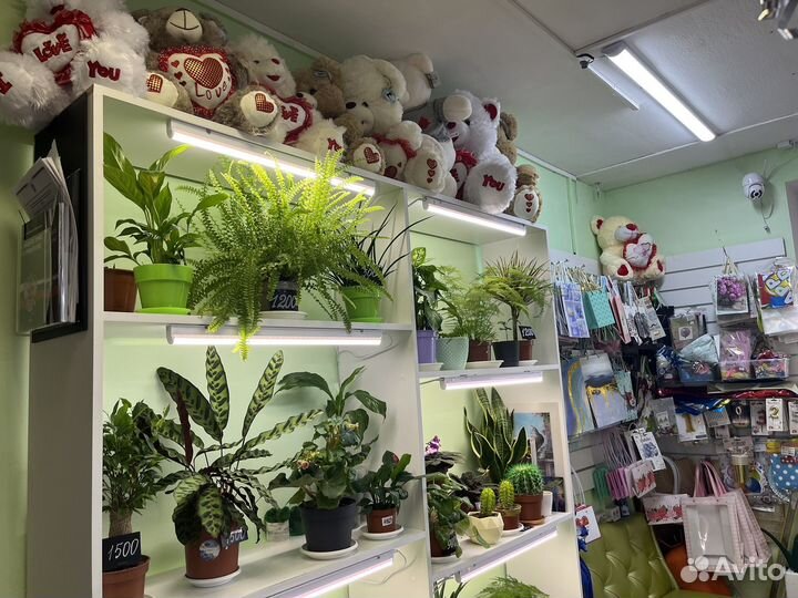 Готовый цветочный бизнес