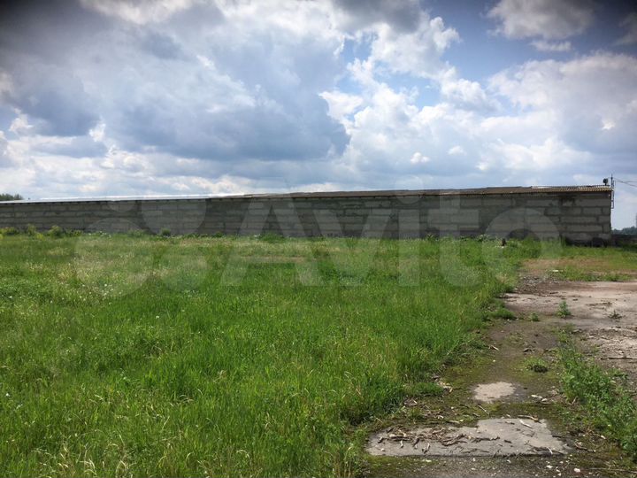 Свободного назначения, 2000 м²