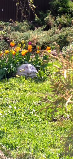 Коттедж 255 м² на участке 15 сот.