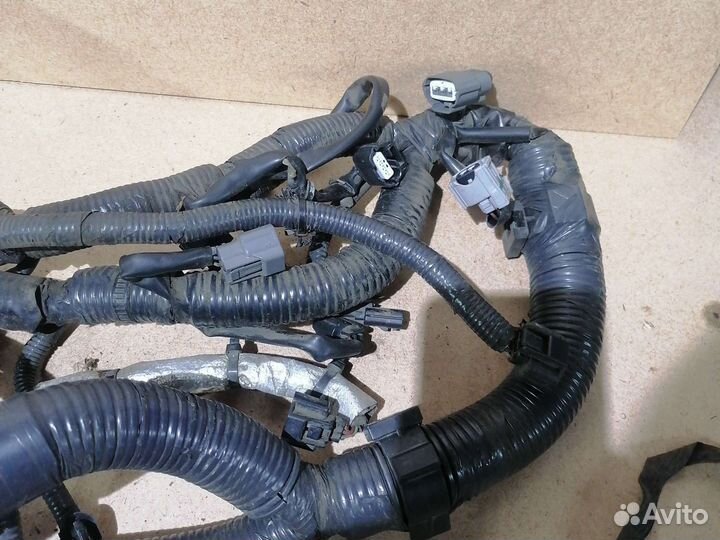 Проводка моторного отсека Nissan Juke 1.6 mr16ddt