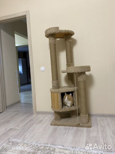 Когтеточка с домиком