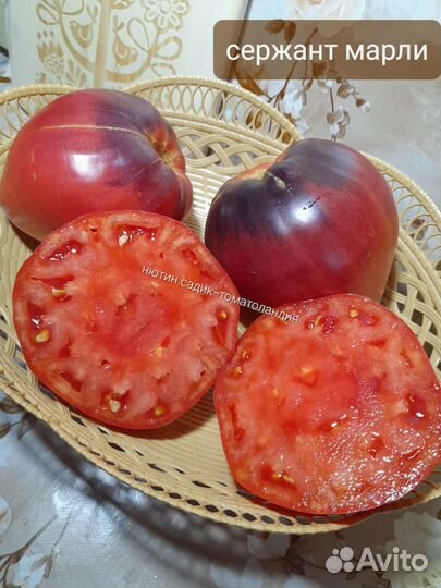 Семена коллекционных томатов