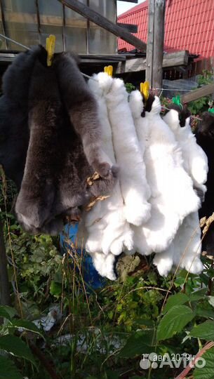 Натуральный мех