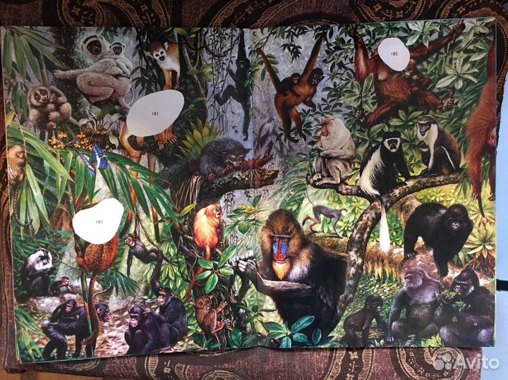 Альбом для наклеек Мир Живого