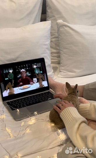 Мини Кролики Ручные Контактные из Питомника