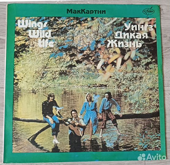 Виниловые Пластинки Зарубежный Рок