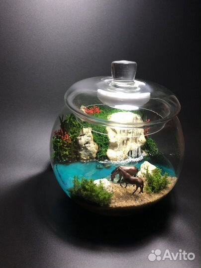 Флорариум - ночник