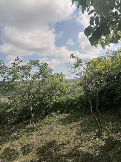 Участок 6,3 сот. (ИЖС)