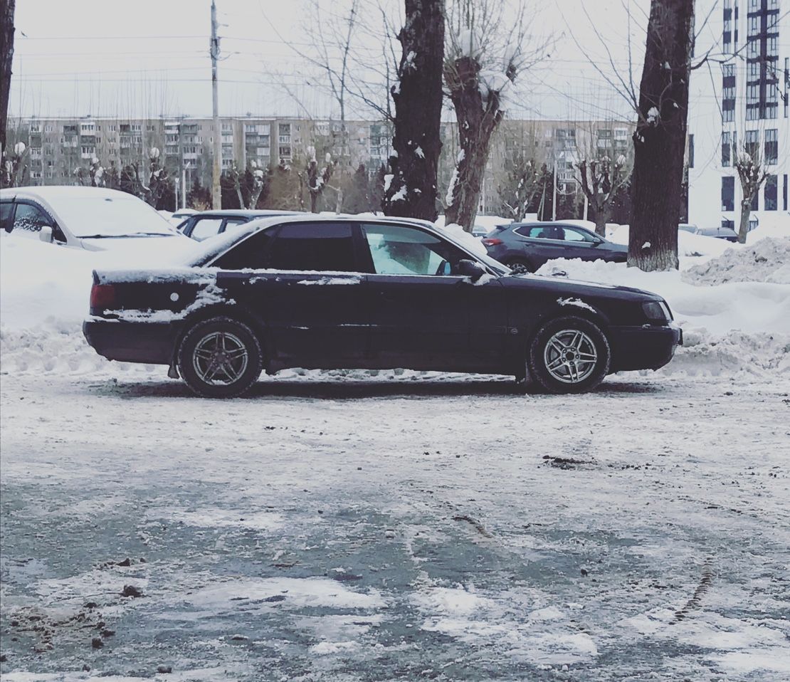 Audi 100: фото владельца