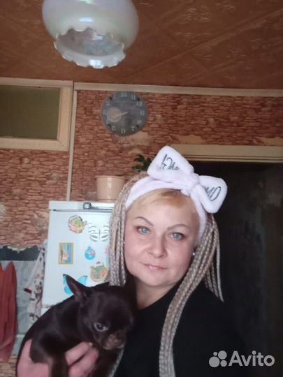 Продавец кассир