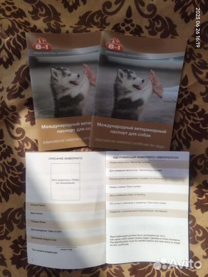 Игрушки,одежда,курица,комбинезон,поилка для собак