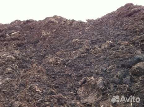 Компост с грибной радуги(навоз, удобрение)