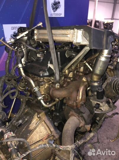 Двигатель Toyota Hilux KUN26 1KD