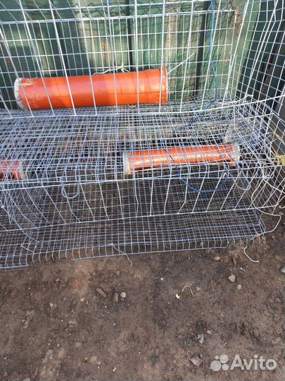 Клетка для куриц